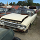 A Rambler!